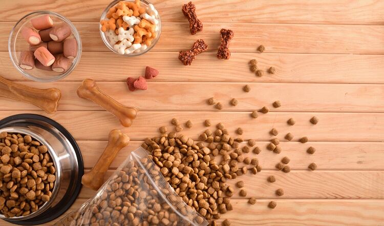 EIT Food launches pet food innovation challenge