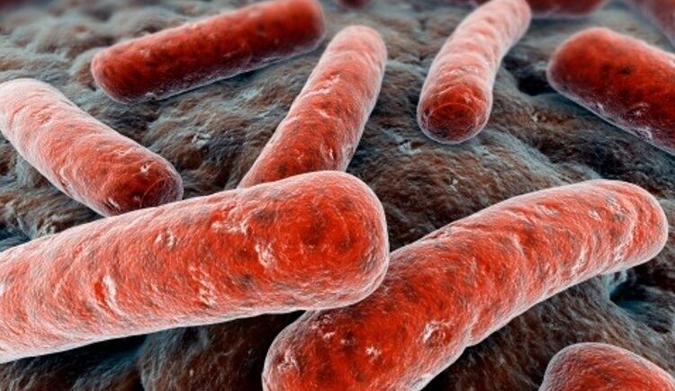 FSS issues STEC food safety advice