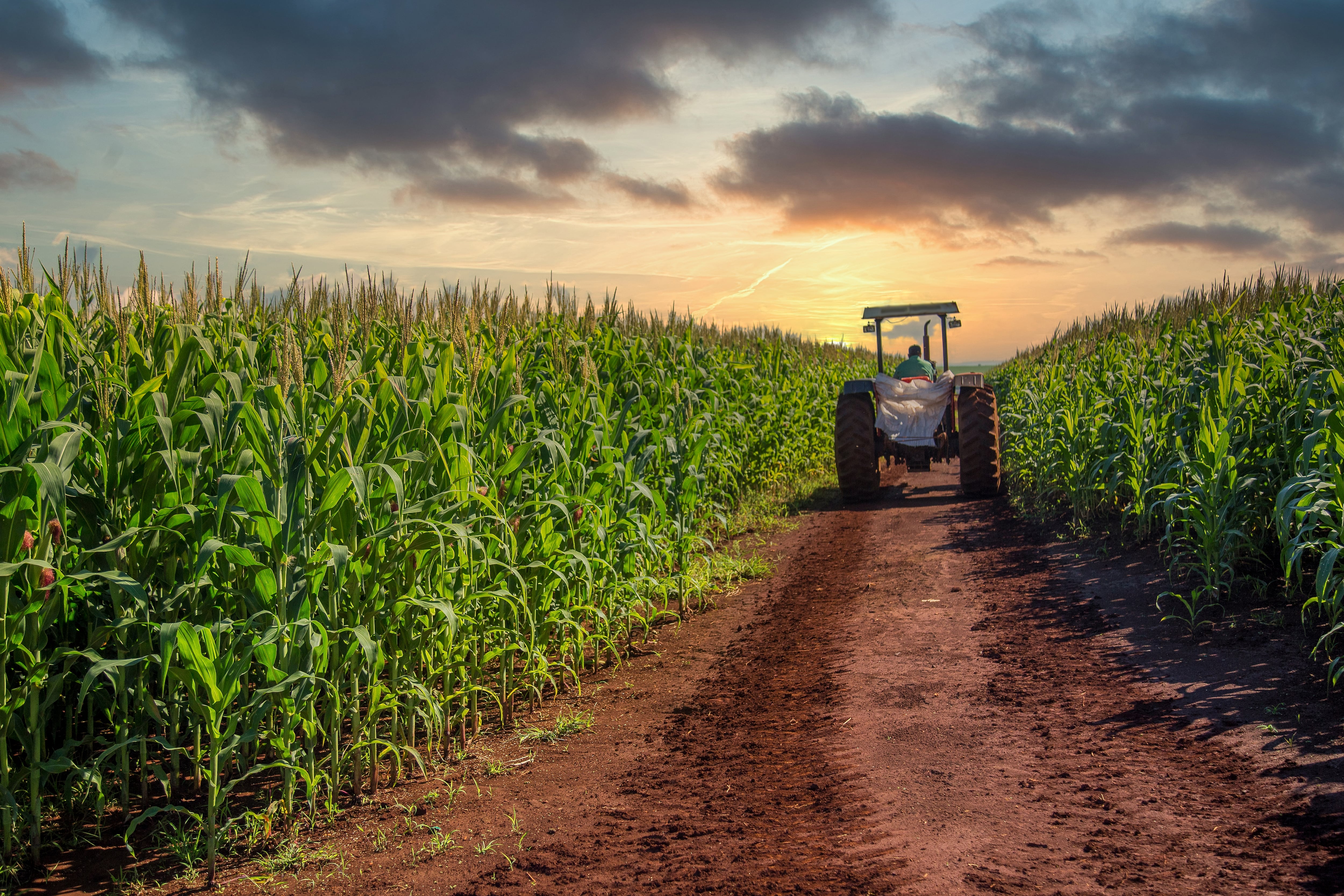 Farmland retains its inherent resilience