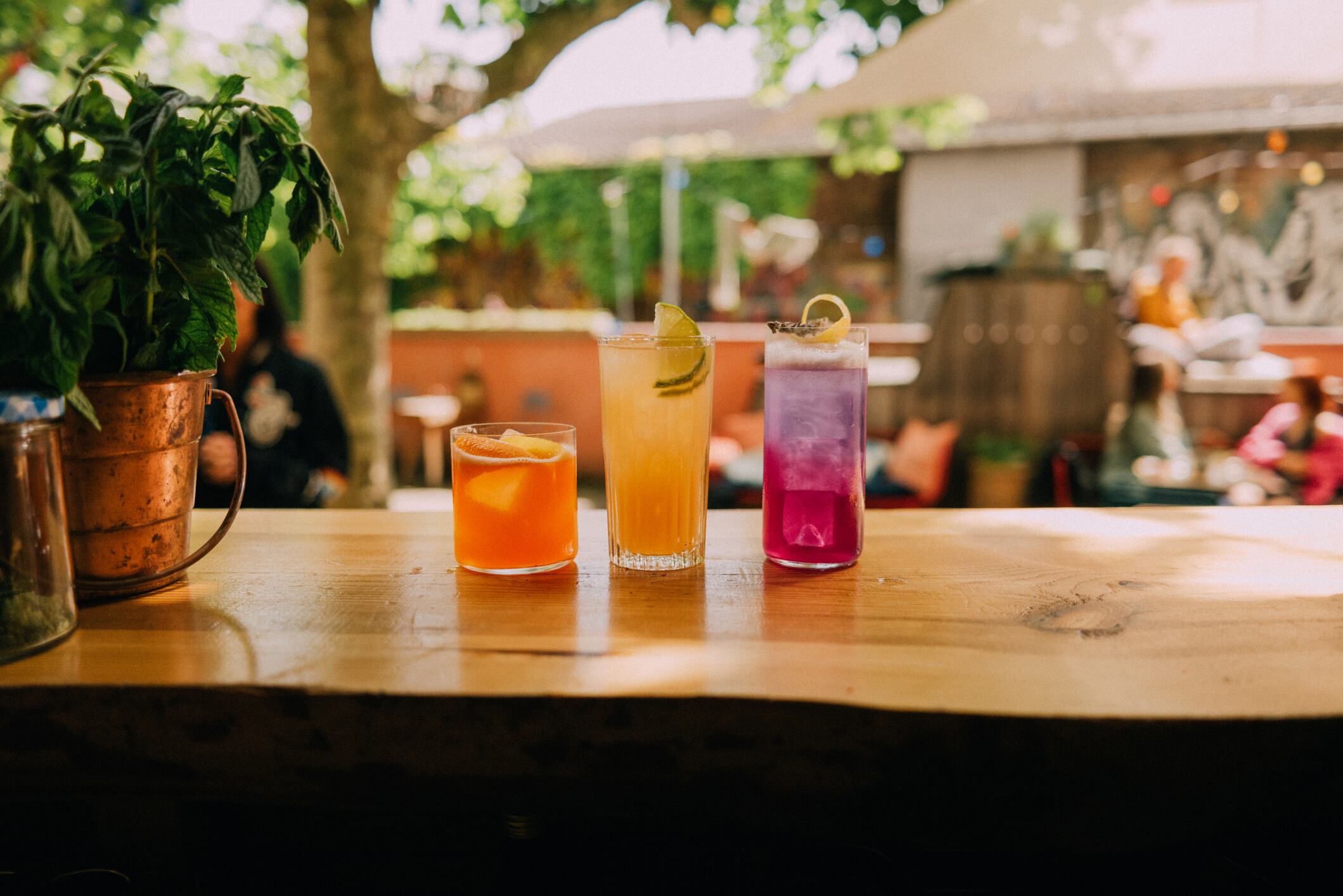 A selection of summery drinks