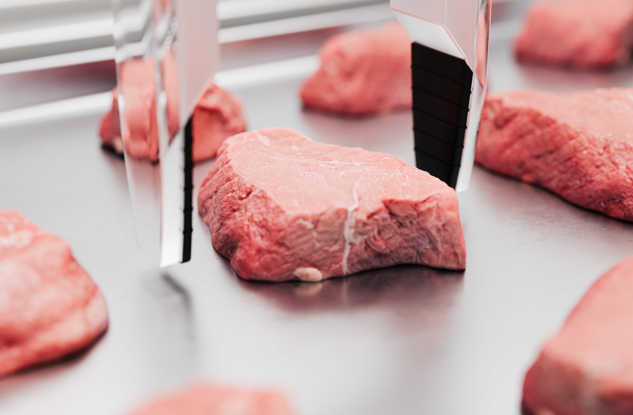 Solutions developed by Chef Robotics can support food companies increase production volumes and automate labour intensive tasks.
