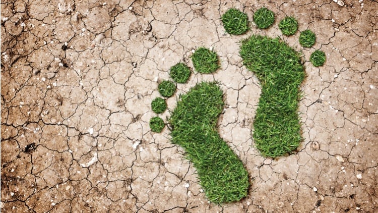 Bakkavor slash emissions and food waste in new ESG report