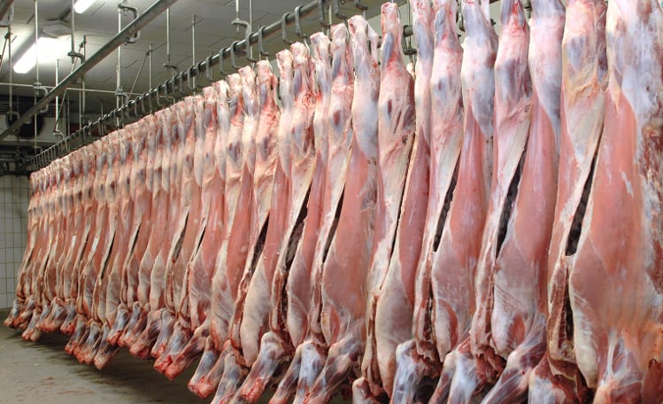 Abattoir closures heavily impact meat sector success 