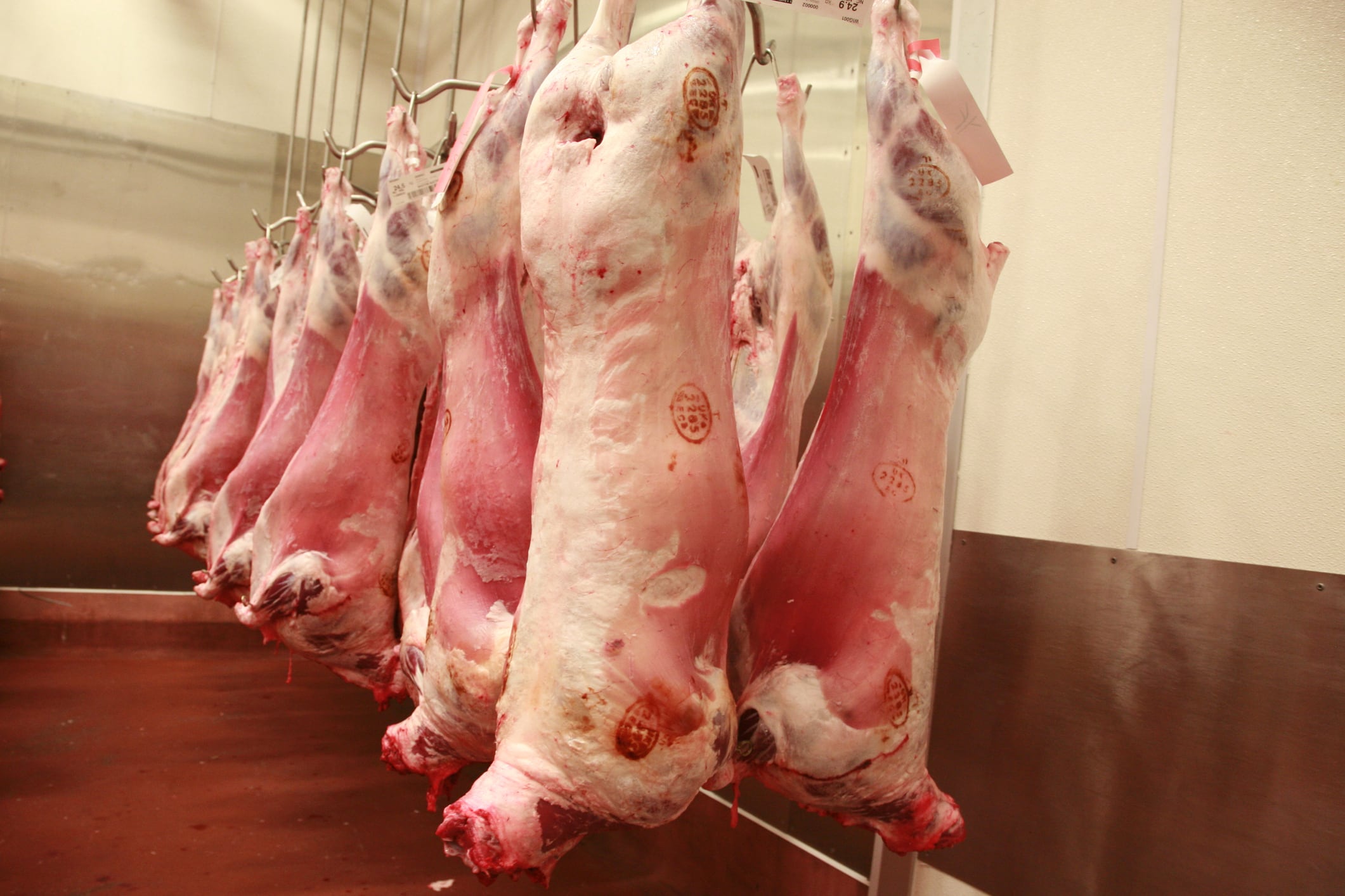Food standards agencies publish meat industry review