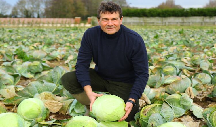British-cabbage-farming-entrepreneur-builds-sustainable-brassica-protein-extraction-facility.jpg