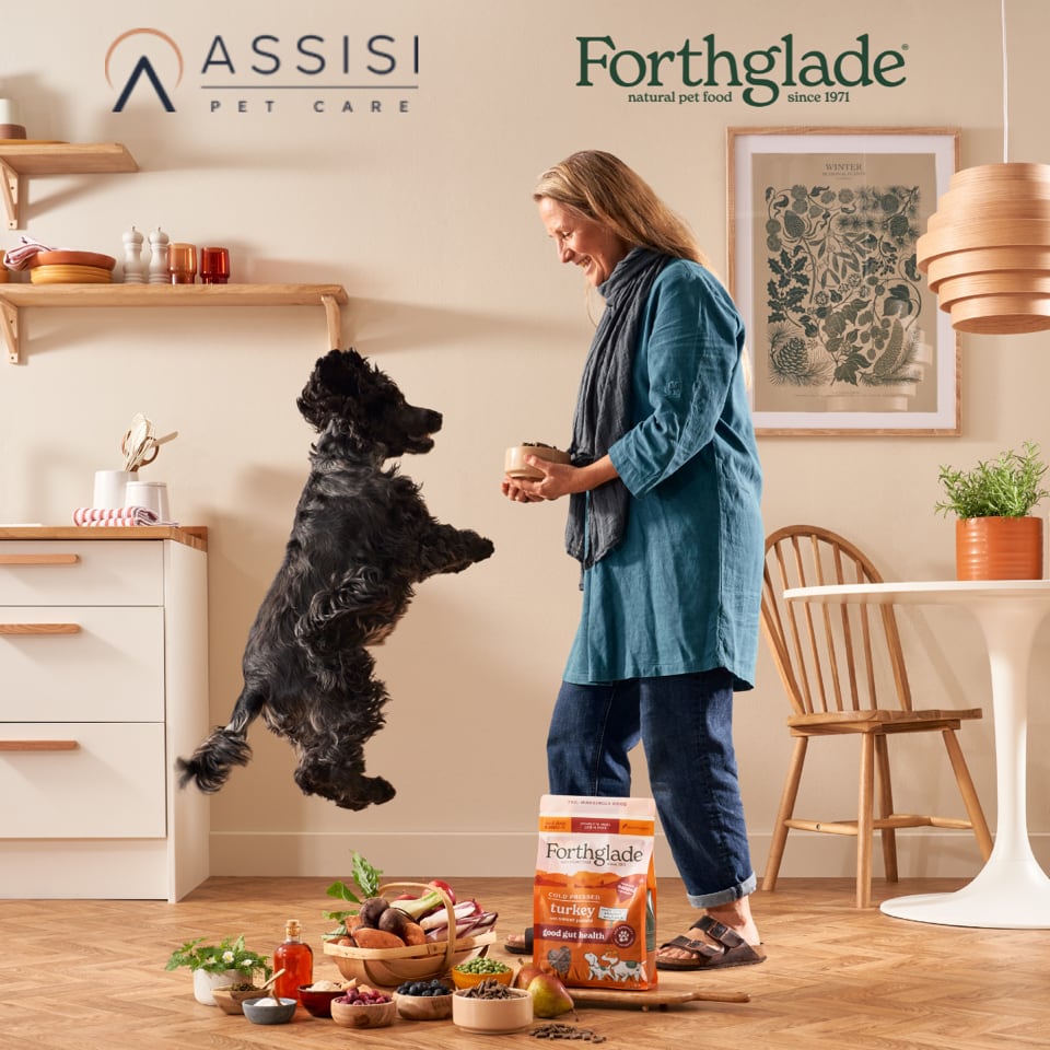 A dog jumping up as owner holds food.
