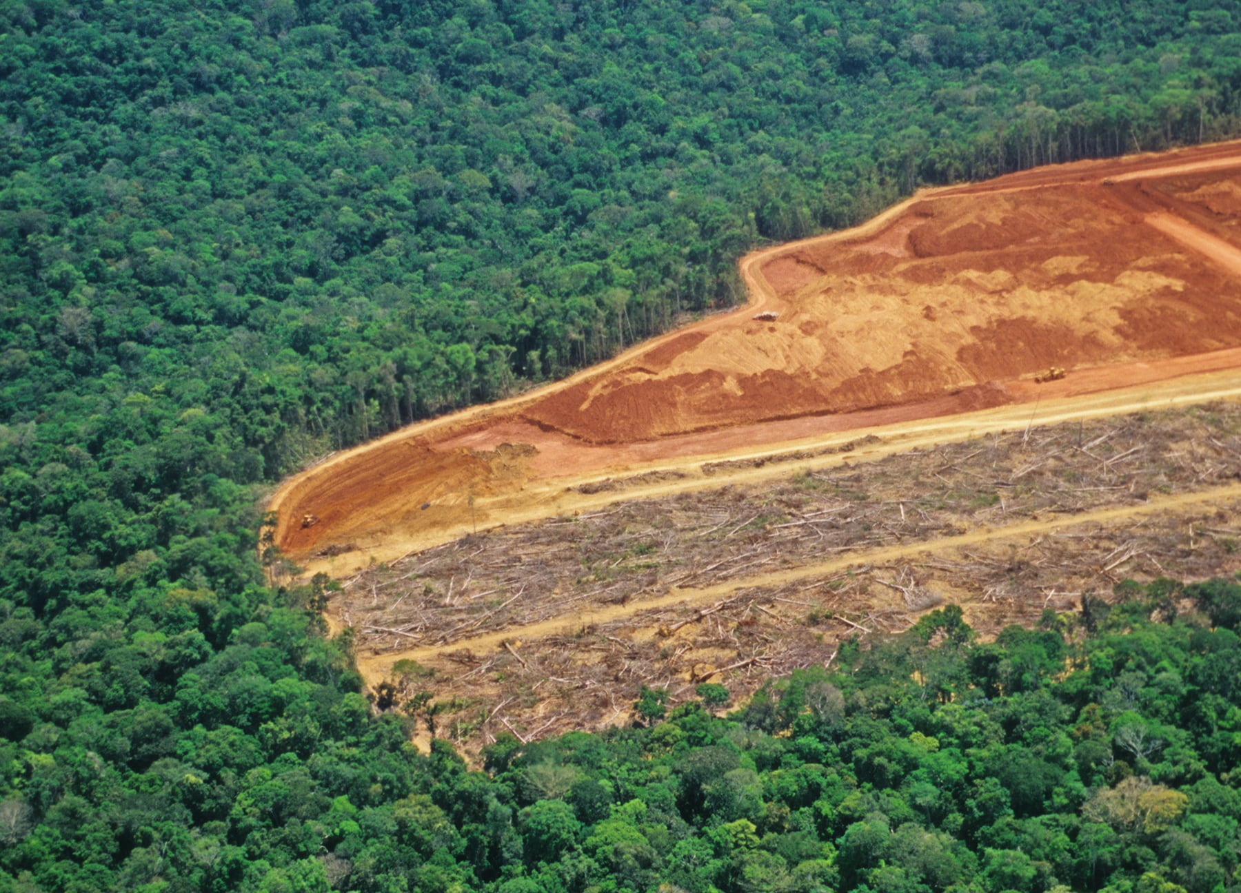WWF blasts EU for ‘embarrassing’ deforestation law delay