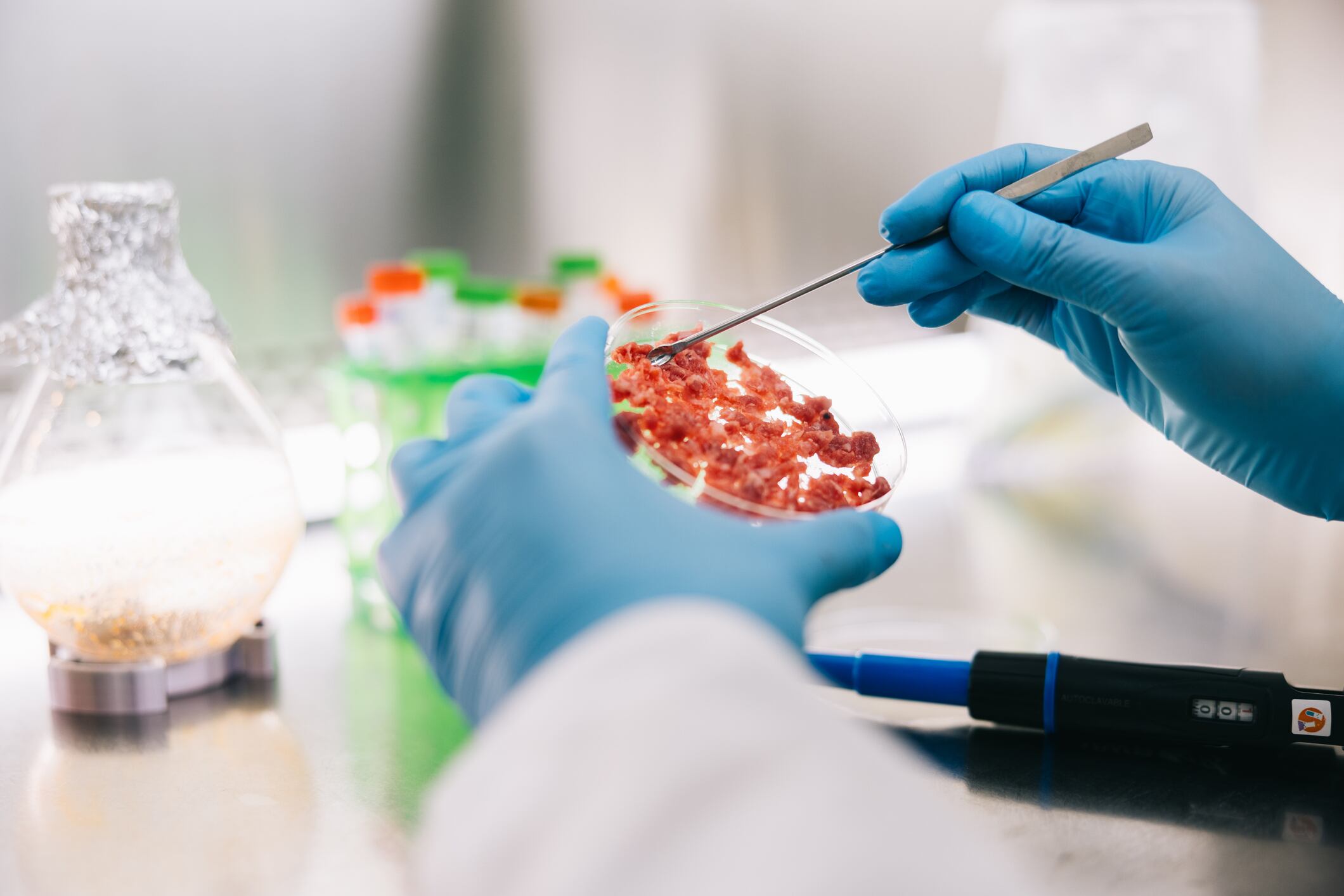 The European Commission is being urged to reshape EFSA's food safety evaluation processes. Image: A close-up still life captures the intricate details of a scientist's gloved hands delicately manipulating cultured meat samples in a sterile laboratory environment.