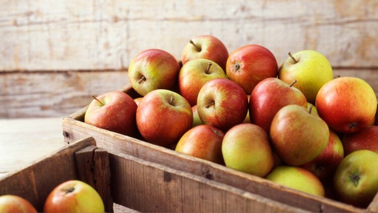 Food safety practices ‘may be insufficient’ to prevent pesticide contamination