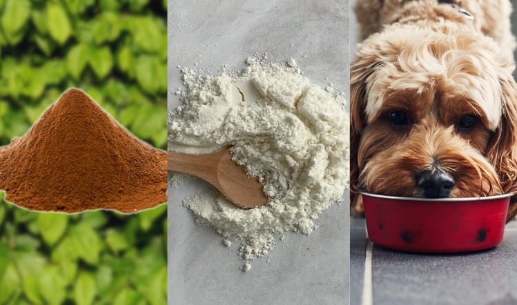 Latest innovations in food and drink ingredients
