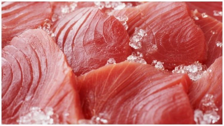 Neogen tackles scombroid poisoning with new histamine tools