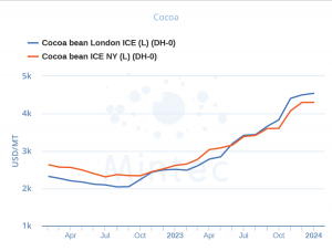 Cocoa prices jan2024