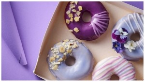 watermark-Oterra-purple-doughnut-filling-FG-0622
