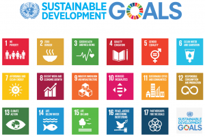 The 17 UN Sustainability Goals