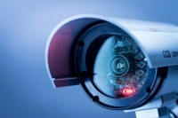 New regulations require abattoirs to install CCTV