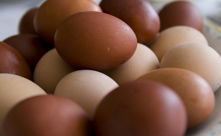 Egg firm appoints former trainee as procurement manager 