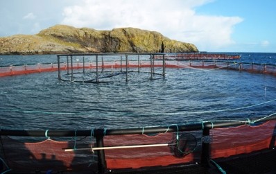 £1.7M from the European Maritime and Fisheries Fund (EMFF) will go to the Scottish Aquaculture Innovation Centre at Stirling University