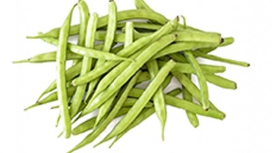 The ‘ecologically sensitive’ organic Sunfiber is derived from the guar bean