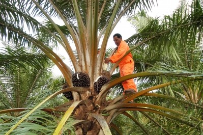 UK manufacturers are working hard to source sustainable palm oil, according to a CSR boss