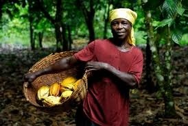 Fairtrade schemes are needed to avert serious global shortages of the 