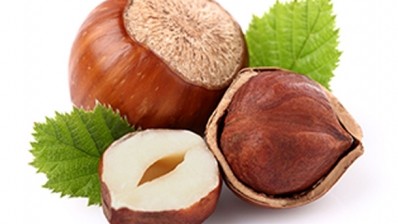 Hazelnut: one of five nut flavours in the five-strong Sensient range