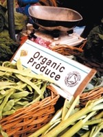 Organics to get cheaper, claims Soil Association