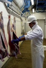 Risk-based meat inspection scheme could soon be reality