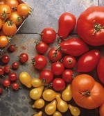 Tomato extracts help keep those arteries unblocked