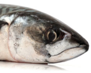 Vitamin D is found naturally in oily fish
