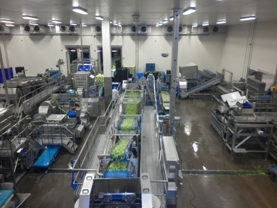 Resfood plans more efficient processes for veg washing and disinfection 