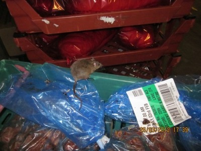 Live rodents were spotted at Tesco's Bedford Street Covent Garden store. Picture copyright Westminster City Council.