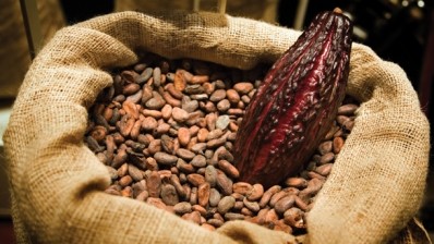 Research indicates cocoa flavanols can improve brain health