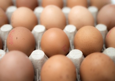 The contaminated egg scandal is likely to intensify, claims Professor Chris Elliott