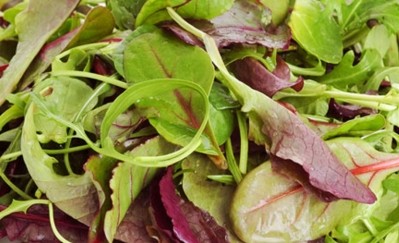 Southern Salads entered administration with almost 260 job cuts