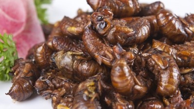 The west needs to overcome its fear of eating insects
