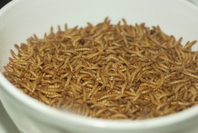 Flour made from mealworms was used to make cakes at Patisserie Maxime