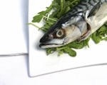 Scots fishermen feared attending mackerel summit would 'legitimise' over-fishing