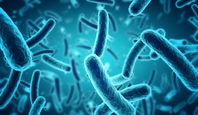 The Scottish E.coli O157 outbreak was blamed on Errington Cheese by a Health Protection Scotland report