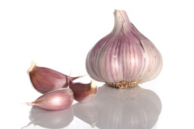 Supplier: 2010 garlic prices could be 