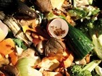 Raise awareness on food waste