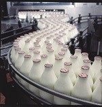 Job losses at Dairy Crest