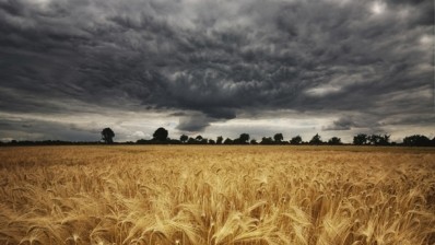 Policy experts have called for a coherent food policy as dark clouds gather 