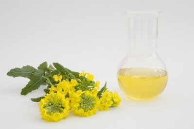 Lower saturated fats through rapeseed gene 