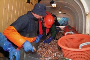 Associated Seafoods nets second Scottish firm