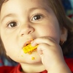 Toddler foods slip through the net, claims Babylicious