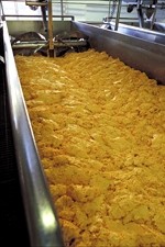 FSA expected to put forward new guidance on cheese recovery