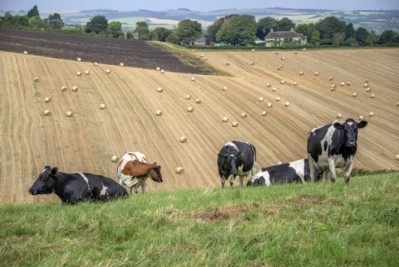 The CPRE was accused of not thinking about food security in its New model farming paper