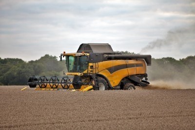 Full steam ahead: But the UK wheat harvest is reported to be up to three weeks later than normal
