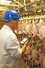 Bird flu could put food firms on the back foot