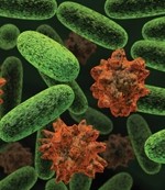 E.coli reveals traceability poor in many categories
